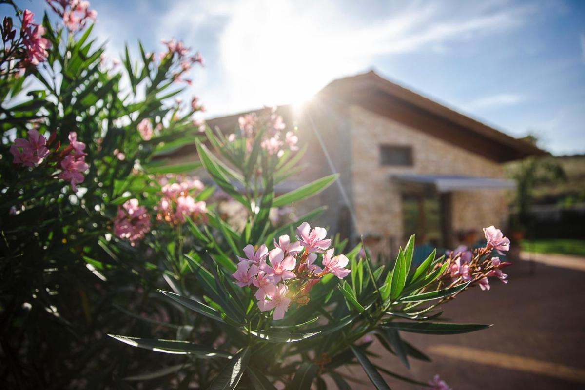 Tenuta I Tufari Tivoli Extérieur photo